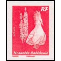Nouvelle-Caledonie - 1100
