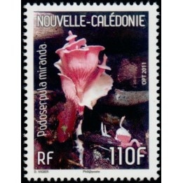 Nouvelle-Caledonie - 1126