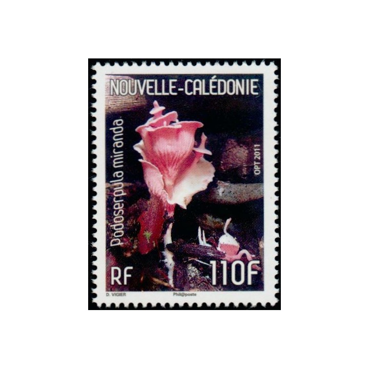Nouvelle-Caledonie - 1126