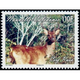 Nouvelle-Caledonie - 1132