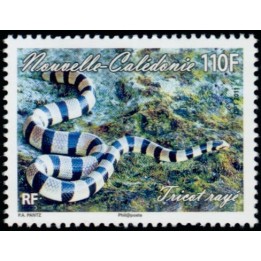 Nouvelle-Caledonie - 1133
