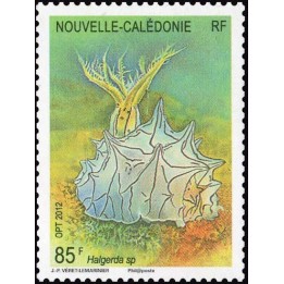 Nouvelle-Caledonie - 1149