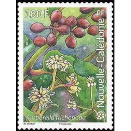 Nouvelle-Caledonie - 1158