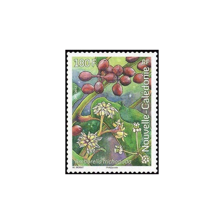 Nouvelle-Caledonie - 1158