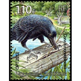 Nouvelle-Caledonie - 1162