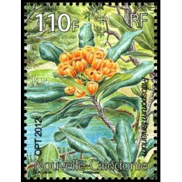 Nouvelle-Caledonie - 1163