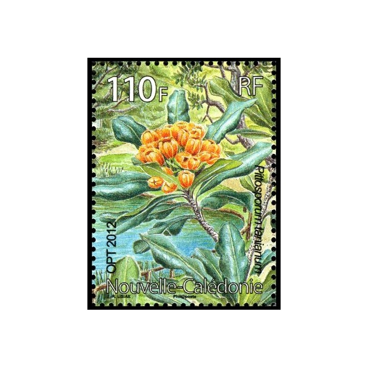Nouvelle-Caledonie - 1163