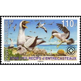 Nouvelle-Caledonie - 1172