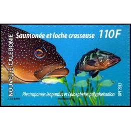 Nouvelle-Caledonie - 1177