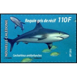 Nouvelle-Caledonie - 1178