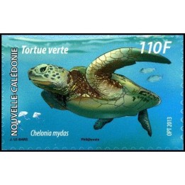 Nouvelle-Caledonie - 1180