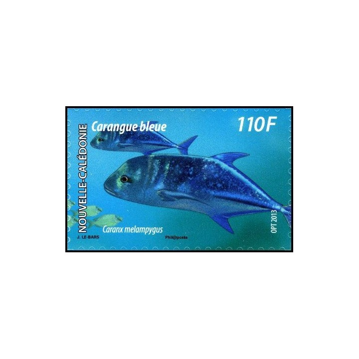 Nouvelle-Caledonie - 1181