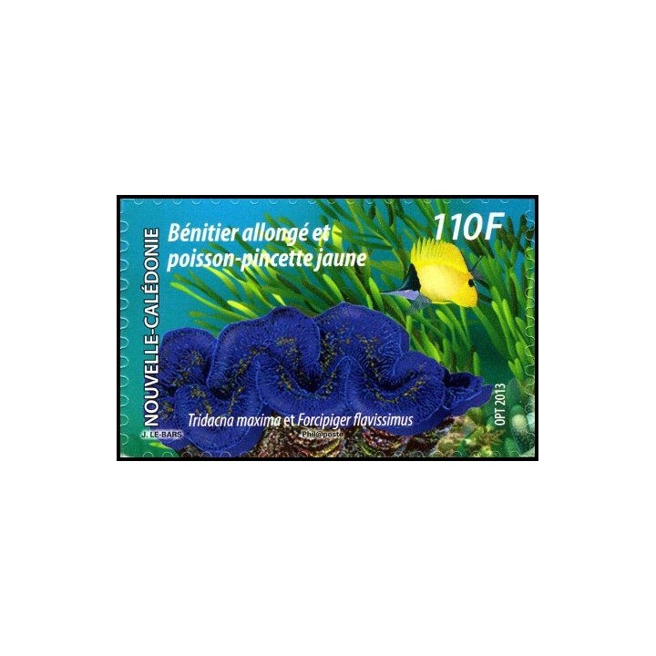 Nouvelle-Caledonie - 1182