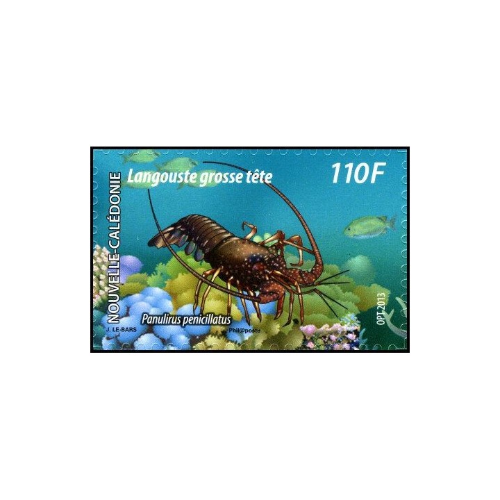 Nouvelle-Caledonie - 1184