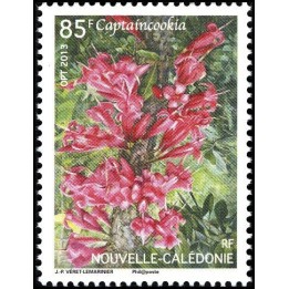 Nouvelle-Caledonie - 1193