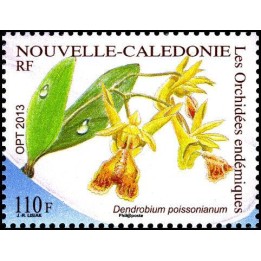 Nouvelle-Caledonie - 1198