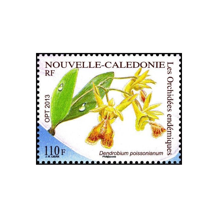 Nouvelle-Caledonie - 1198