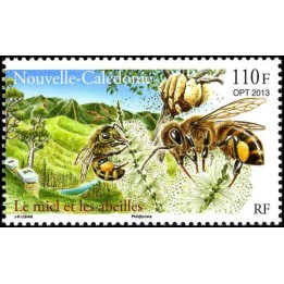 Nouvelle-Caledonie - 1200