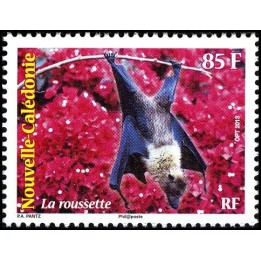 Nouvelle-Caledonie - 1202