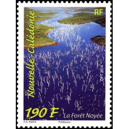 Nouvelle-Caledonie - 1220