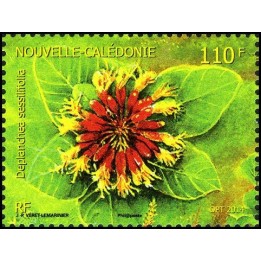 Nouvelle-Caledonie - 1225