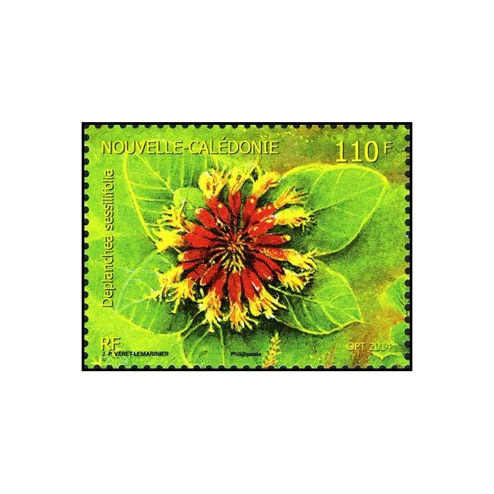 Nouvelle-Caledonie - 1225