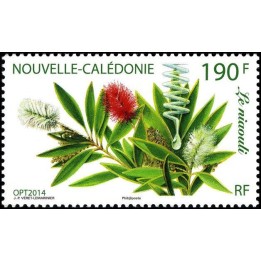 Nouvelle-Caledonie - 1230