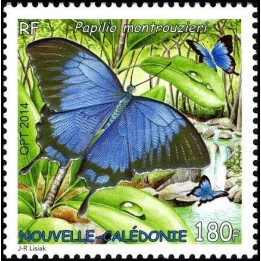 Nouvelle-Caledonie - 1231