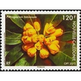 Nouvelle-Caledonie - 1236