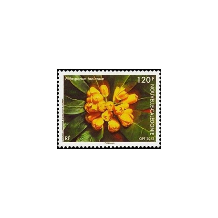 Nouvelle-Caledonie - 1236