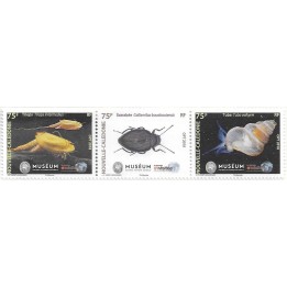 Nouvelle-Caledonie - 1341A