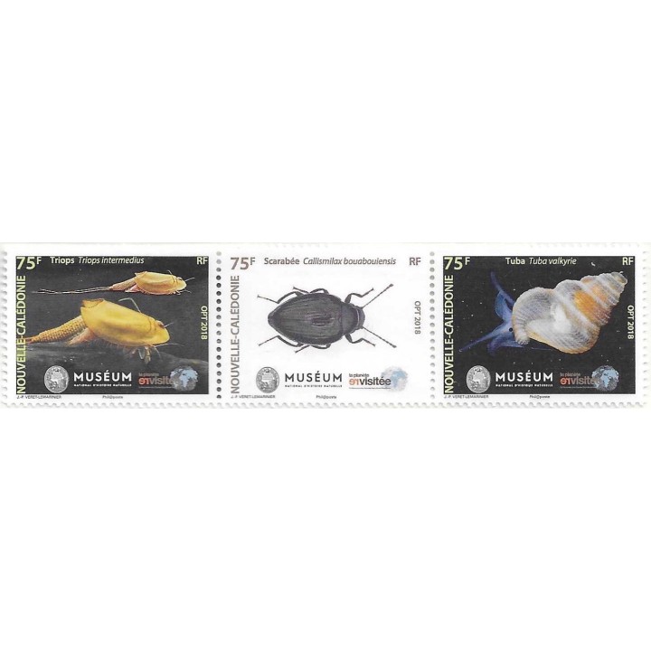 Nouvelle-Caledonie - 1341A