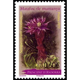 Andorre Francais - 728