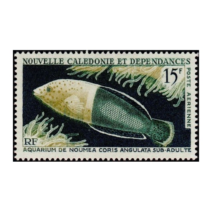 Nouvelle-Caledonie - Poste Aérienne 082
