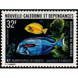 Nouvelle-Caledonie - Poste Aérienne 145