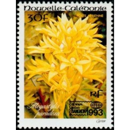 Nouvelle-Caledonie - Poste Aérienne 304