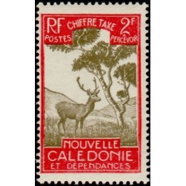Nouvelle-Caledonie - Taxe 37
