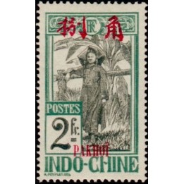 Pakhoi - 48