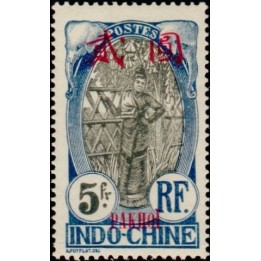 Pakhoi - 49
