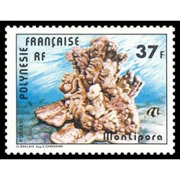 Polynesie Francaise - 0131