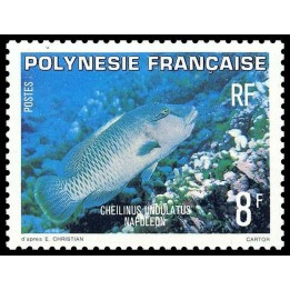 Polynesie Francaise - 0148