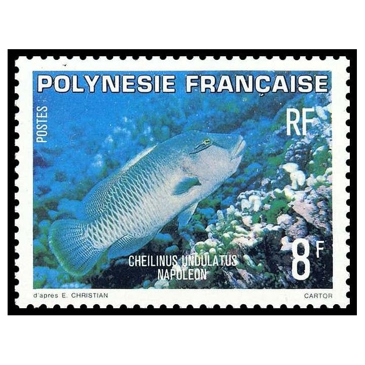 Polynesie Francaise - 0148
