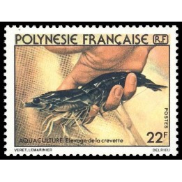 Polynesie Francaise - 0151