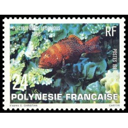 Polynesie Francaise - 0162