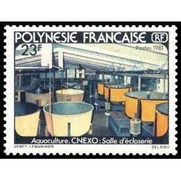 Polynesie Francaise - 0163