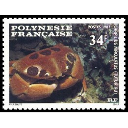 Polynesie Francaise - 0275