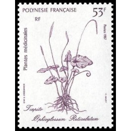 Polynesie Francaise - 0286