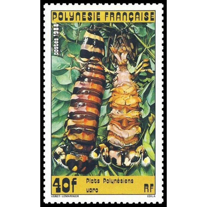 Polynesie Francaise - 0295