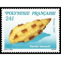 Polynesie Francaise - 0312