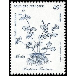 Polynesie Francaise - 0317
